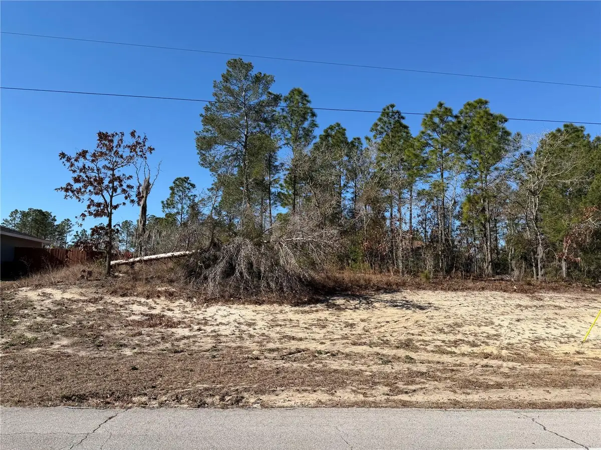 SW 135th Street Road Lot 12, Ocala, FL 34473 - #1