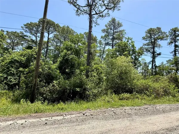 1395 10th Avenue, DELAND, FL 32724