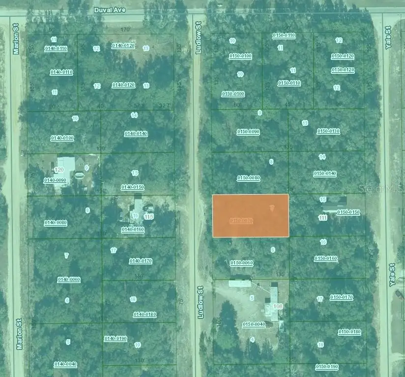 Ludlow Street, Interlachen, FL 32148 - #2