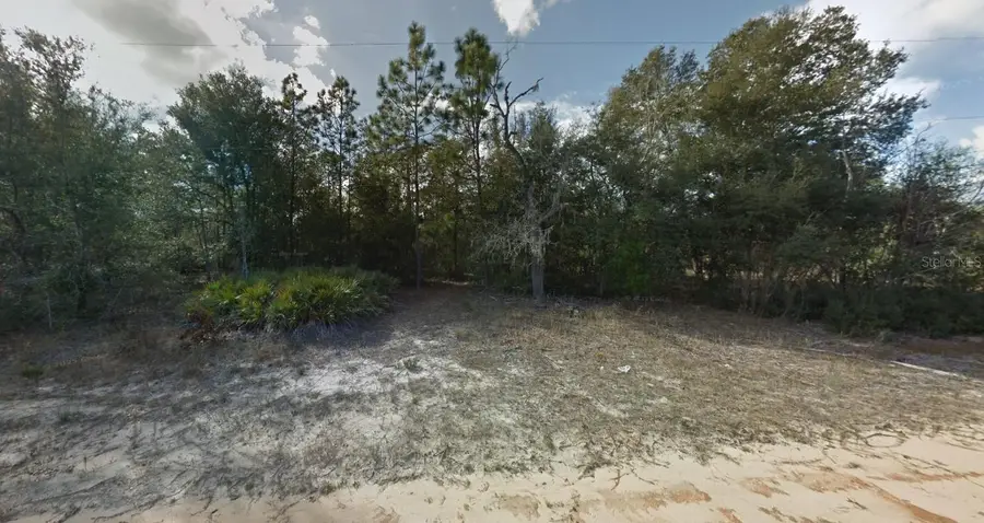 Ludlow Street, Interlachen, FL 32148 - #3