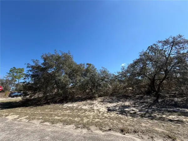 6725 N Killinger Terrace, CITRUS SPRINGS, FL 34433