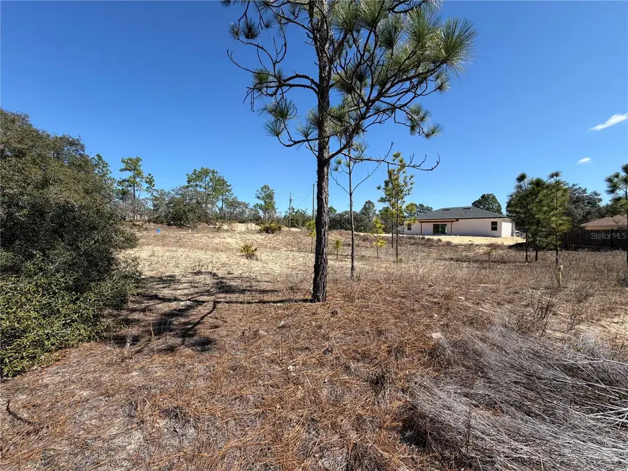 6725 N Killinger Terrace, Citrus Springs, FL 34433 - #2