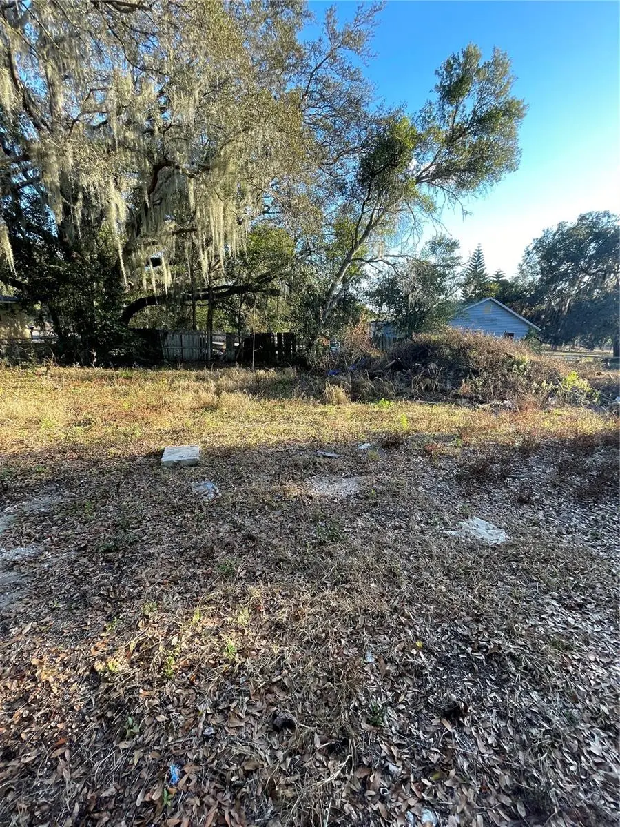 1505 S Central Avenue, Apopka, FL 32703 - #2