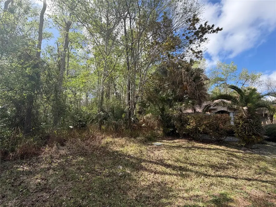 6 Zeppelin Court, Palm Coast, FL 32164 - #3