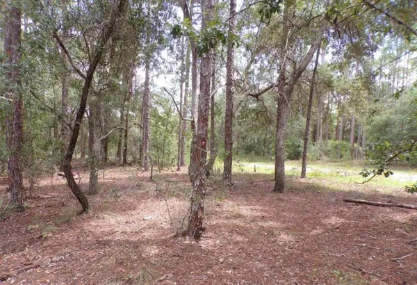 617 E Marquette Lane, DUNNELLON, FL 34434