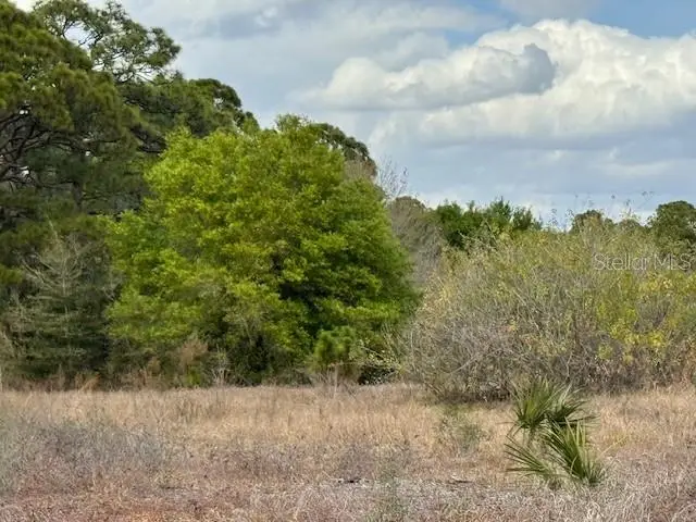 612 Twilight Drive, Lake Placid, FL 33852 - #2