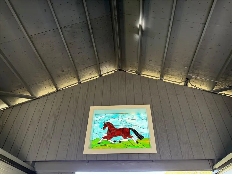 33015 Sahara Court, Sorrento, FL 32776 - #3