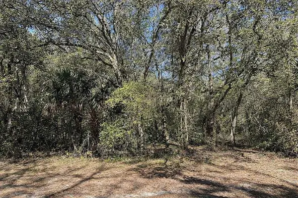 Lot 34,35 block C 18th St, ORANGE CITY, FL 32763