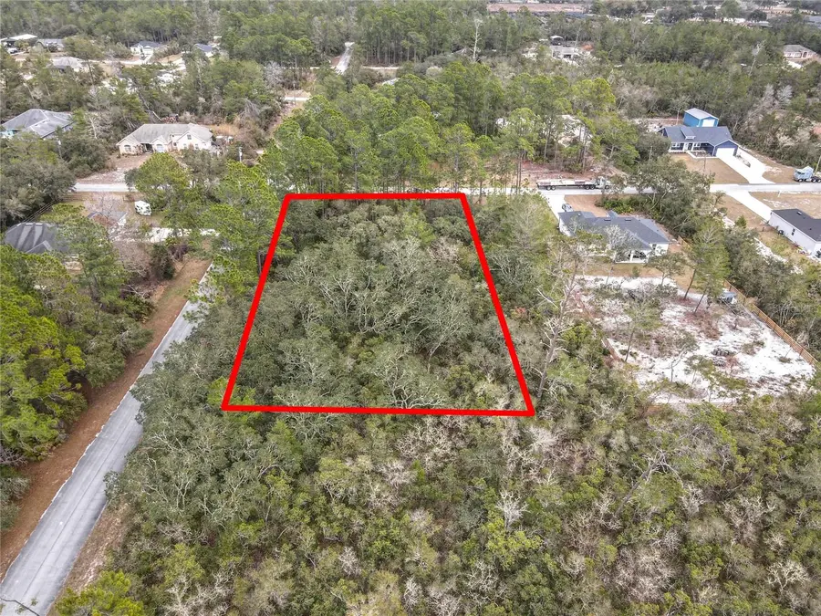 Balsam Street, Eustis, FL 32736 - #3