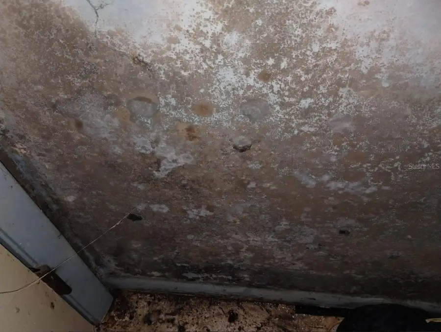 800 Nicole Boulevard, Ocoee, FL 34761 - #3