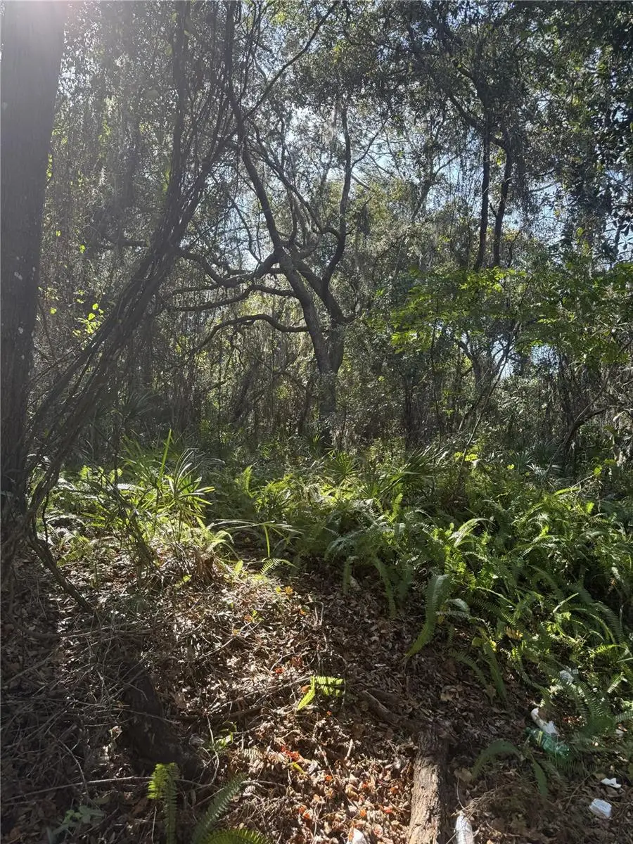 E Franklin Street, Oviedo, FL 32765 - #3