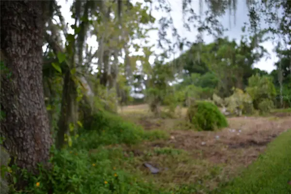 0 Se 3rd Street Street, INTERLACHEN, FL 32148