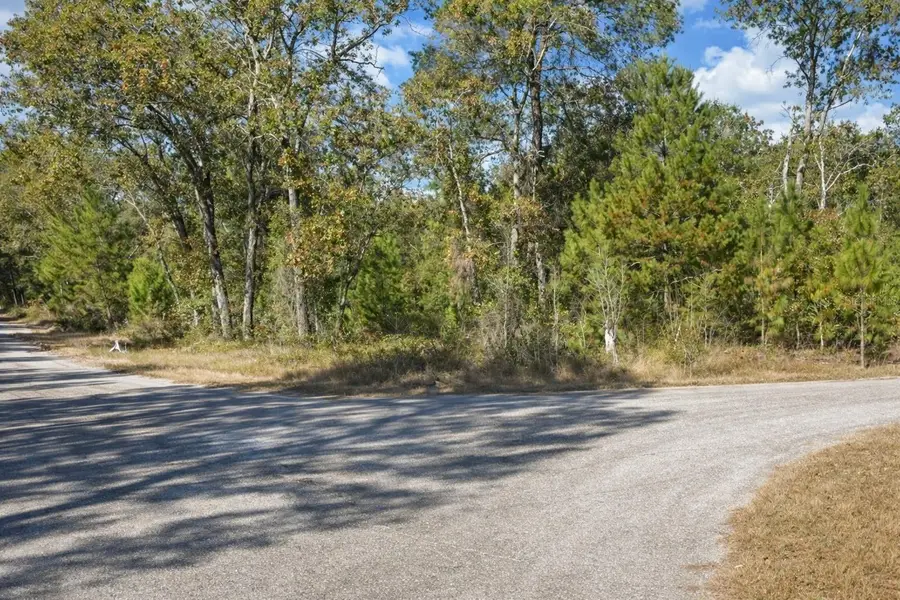 Guava Pass Pl, Ocklawaha, FL 32179 - #2