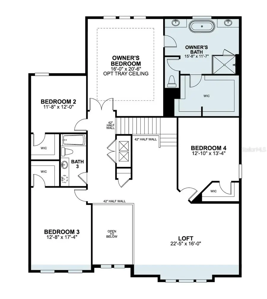 854 Creeping Fig Street, Apopka, FL 32703 - #3