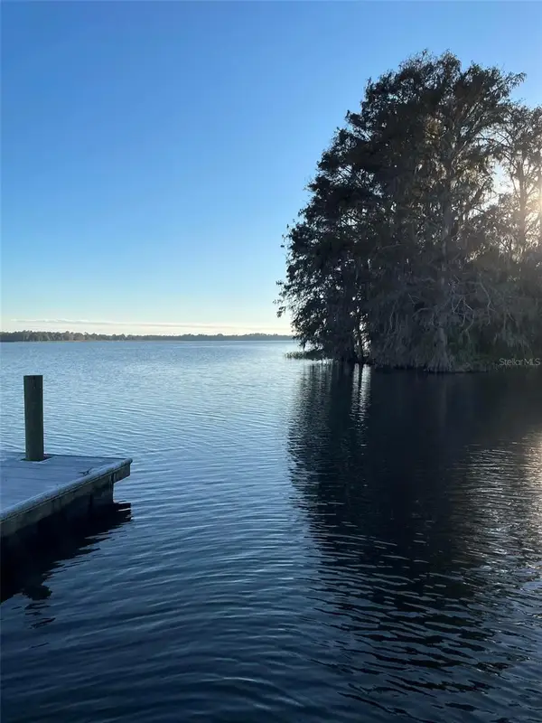 17708 Sawgrass Run, DEER ISLAND, FL 32778