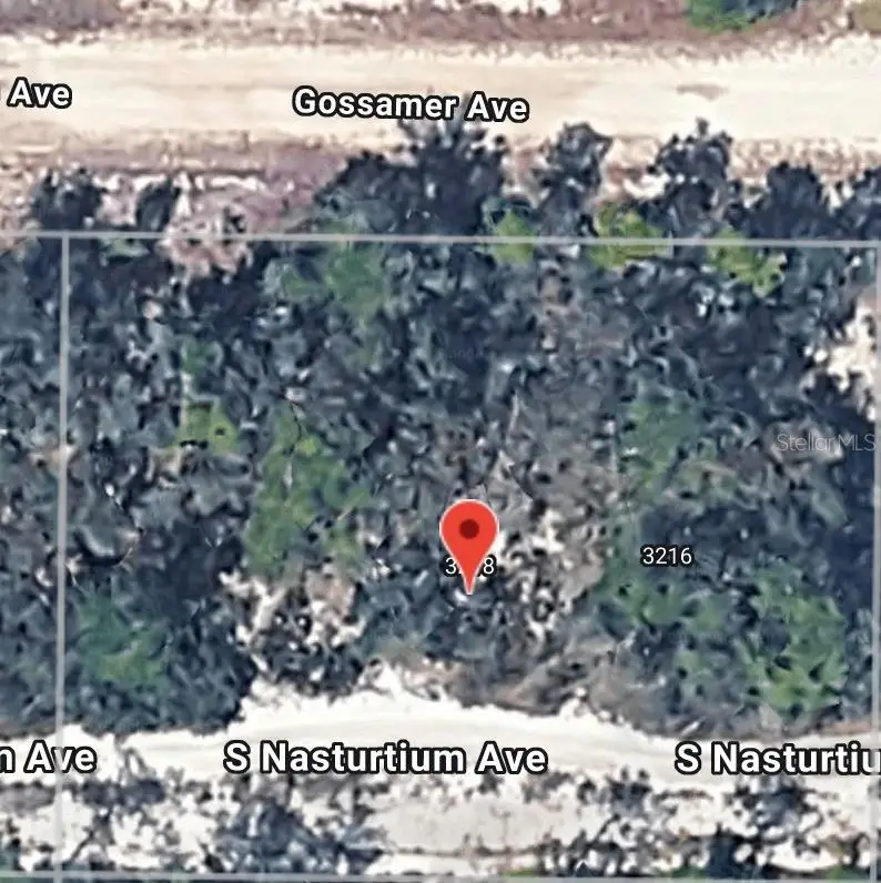 3218 Gossamer Avenue, Lake Placid, FL 33852 - #2