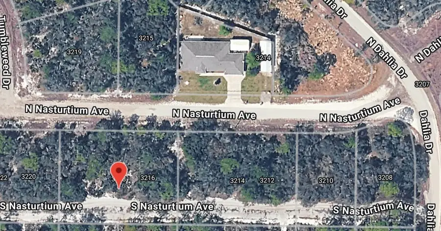 3218 Gossamer Avenue, Lake Placid, FL 33852 - #3