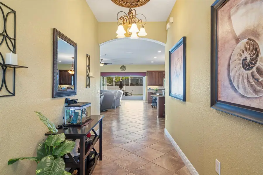 204 Bengal Circle, Oldsmar, FL 34677 - #3