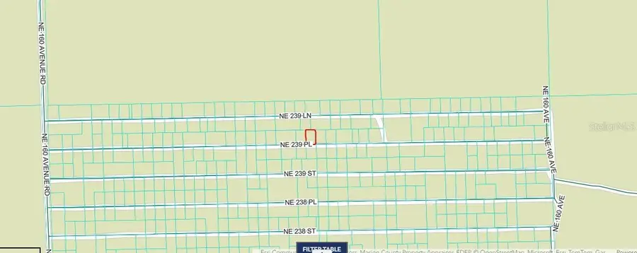 Ne 243rd Place Rd, Fort McCoy, FL 32134 - #2