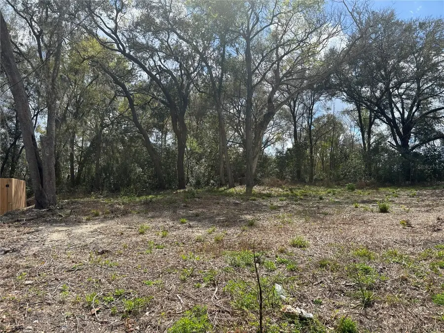 114 E Cleveland Street, Apopka, FL 32703 - #2