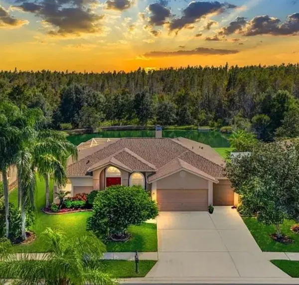 18408 Bittern Avenue, LUTZ, FL 33558