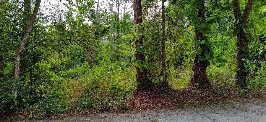 Marjorie Boulevard, Longwood, FL 32750 - #3