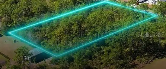 Lot 070 Palmland Street, Orlando, FL 32833 - #2