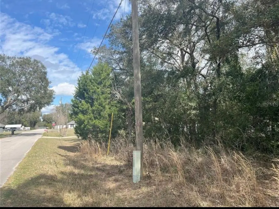 TBD 94th Ave, Belleview, FL 34420 - #3