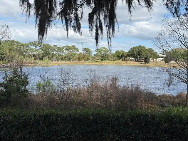 873 Pickfair Terrace, Lake Mary, FL 32746 - #3