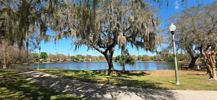 14439 Bluebird Park Road, Windermere, FL 34786 - #3