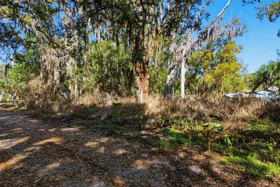 1114 E 9th Street, Sanford, FL 32771 - #2