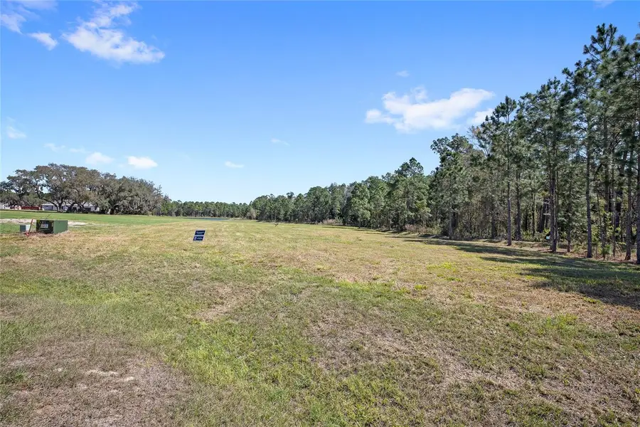 20280 Shoreline Ranch Lane, Umatilla, FL 32784 - #3