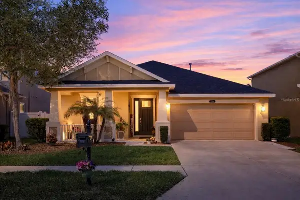 9244 Bella Vita Circle, LAND O LAKES, FL 34637