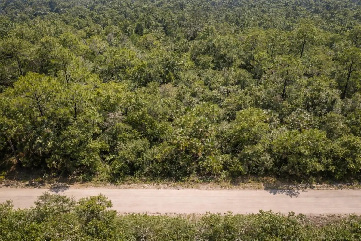 823 Durmon Avenue, Lake Placid, FL 33852 - #1