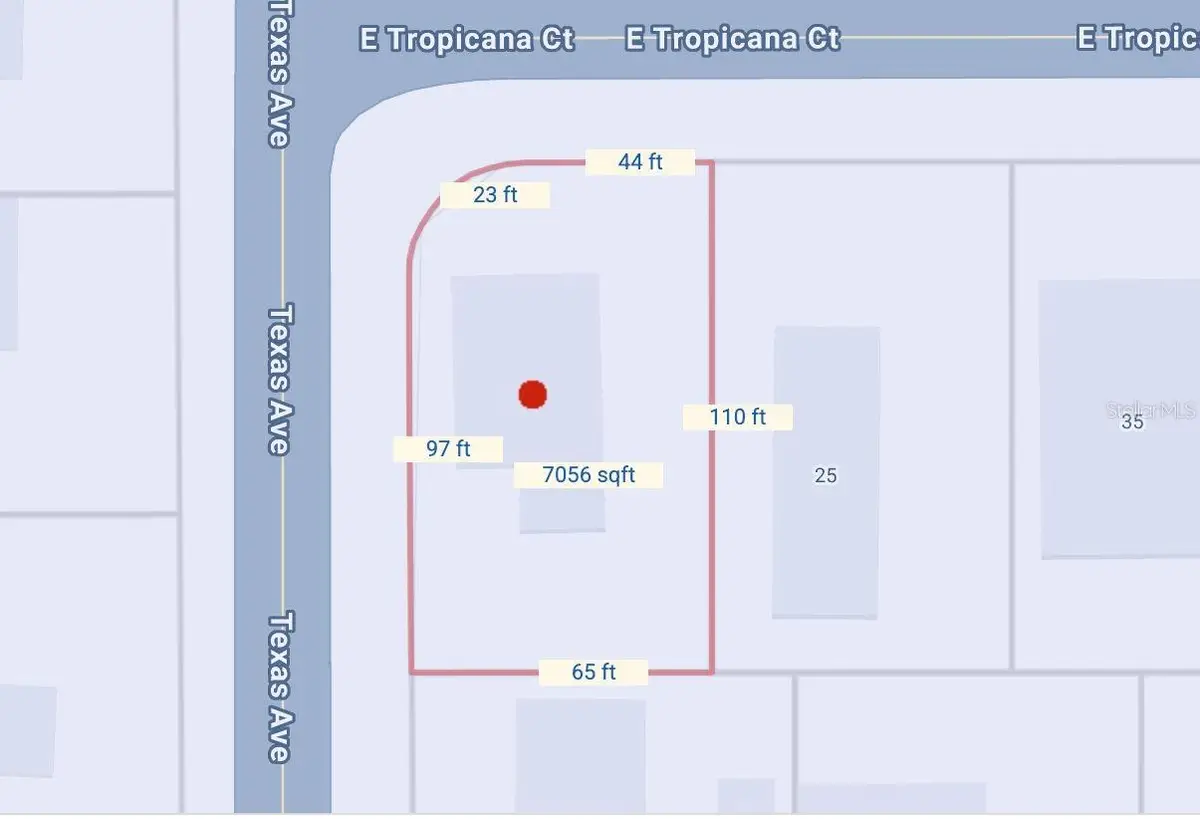 15 E Tropicana Court, Kissimmee, FL 34741 - #1