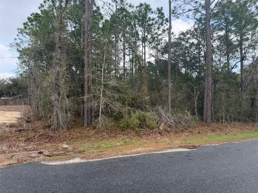 0000 Fir Drive Track, Ocala, FL 34472 - #3