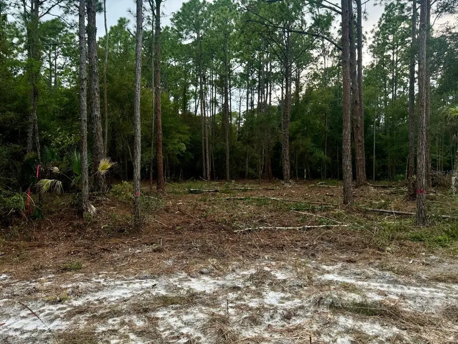 127 Longtree Street, Georgetown, FL 32139 - #3