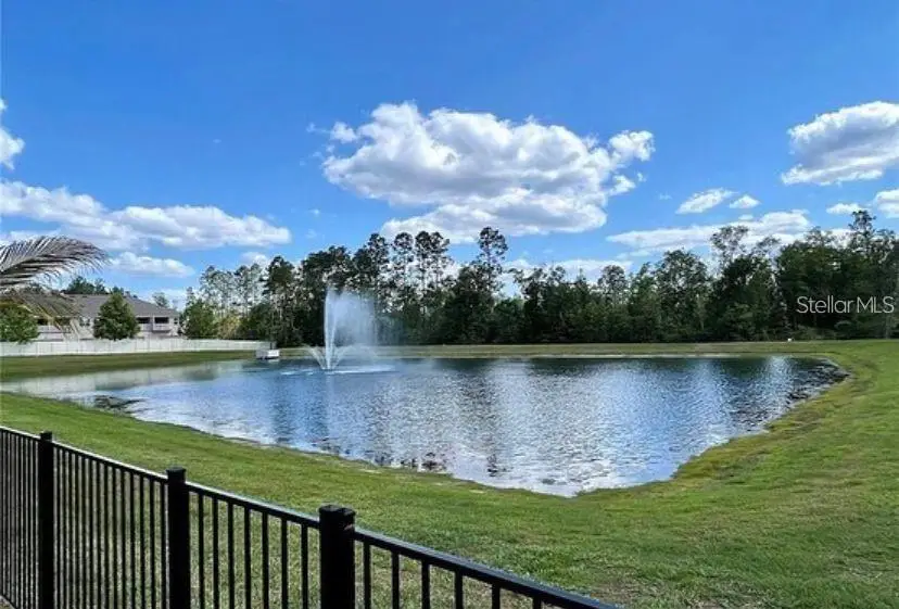 13542 Gorgona Isle Drive, Windermere, FL 34786 - #2