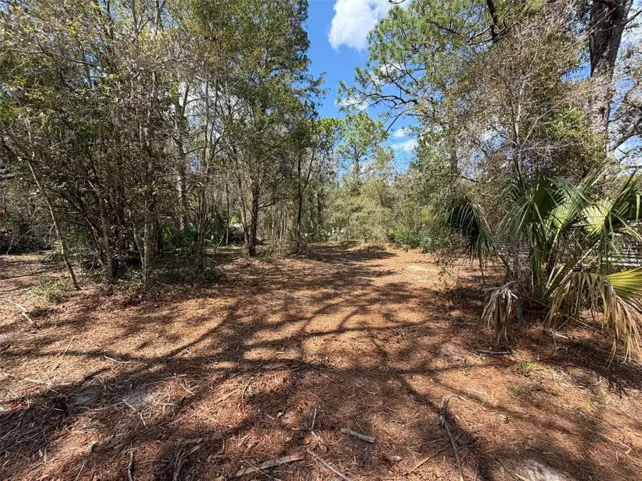 980 N Conant Avenue, Crystal River, FL 34429 - #2