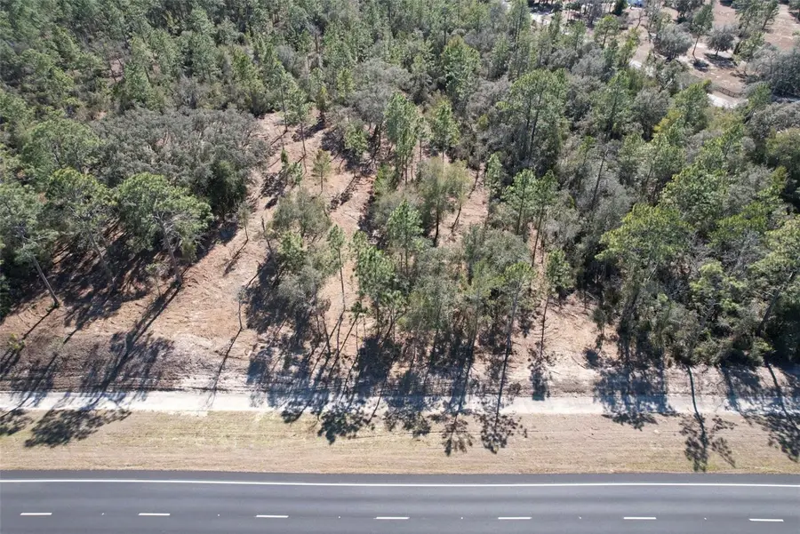 NE Highway 27 Alt Highway, Williston, FL 32696 - #2