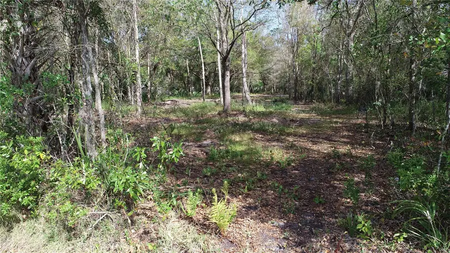 Cedarhurst Rd, Orlando, FL 32820 - #2