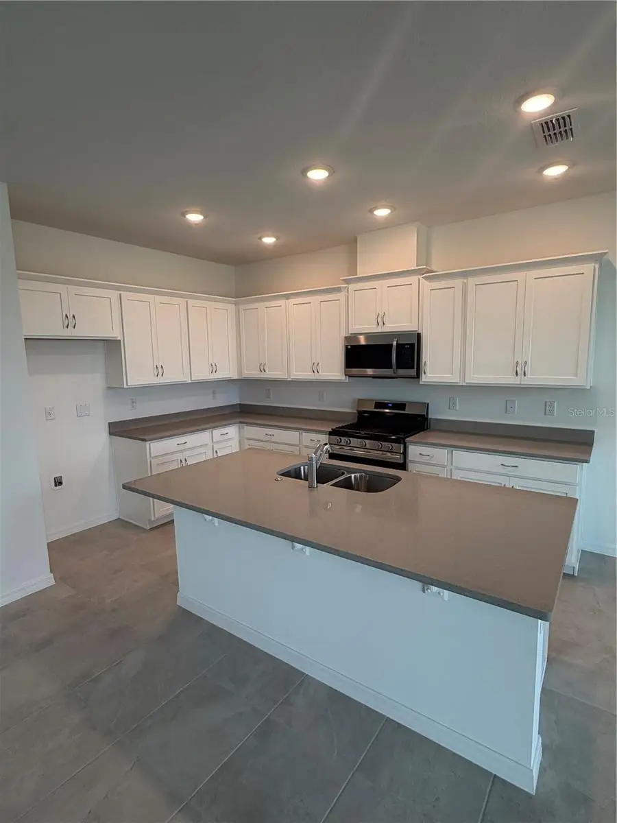 24546 Hodges Reserve Avenue, Howey In The Hills, FL 34737 - #2