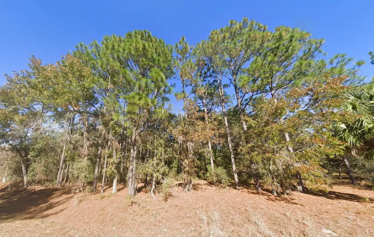 2284 County Road 243b, Wildwood, FL 34785 - #1