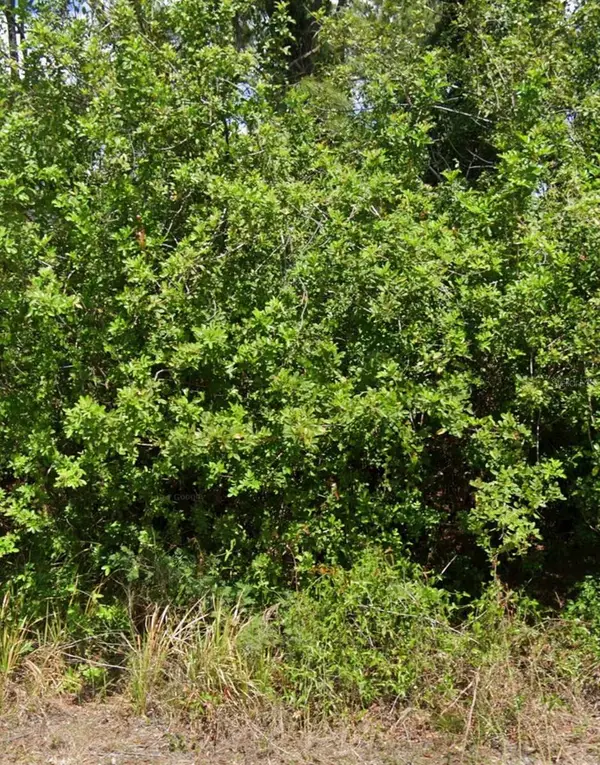 103 Dakota Street Nw, LAKE PLACID, FL 33852