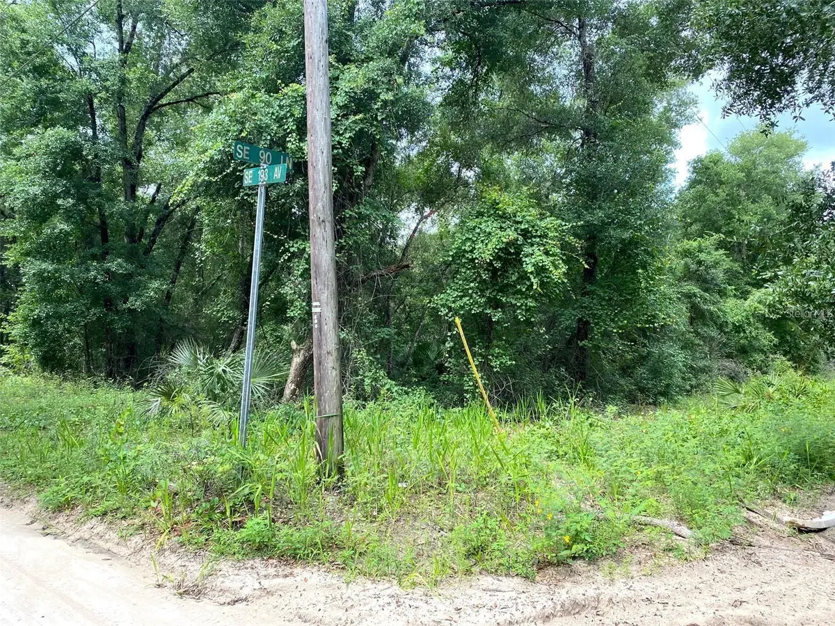 SE 193rd Avenue, Ocklawaha, FL 32179 - #1