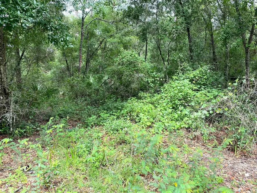 SE 193rd Avenue, Ocklawaha, FL 32179 - #3