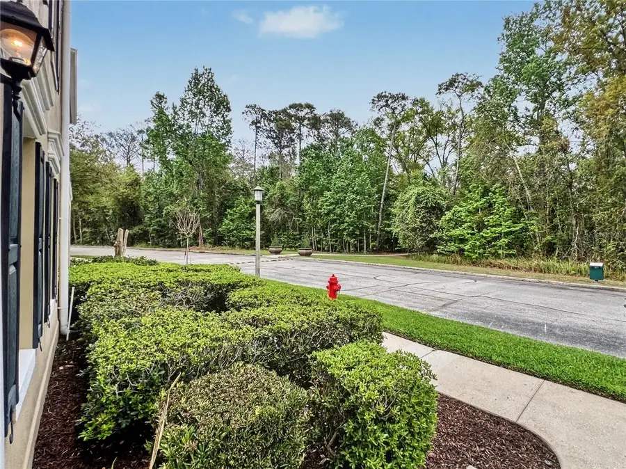 754 Centervale Drive, Celebration, FL 34747 - #3