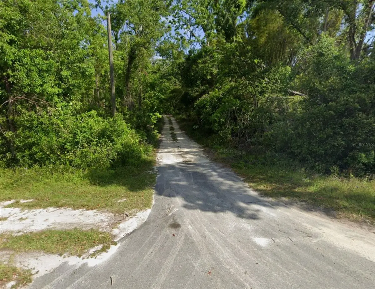 Nw Wayne St, Mayo, FL 32066 - #1