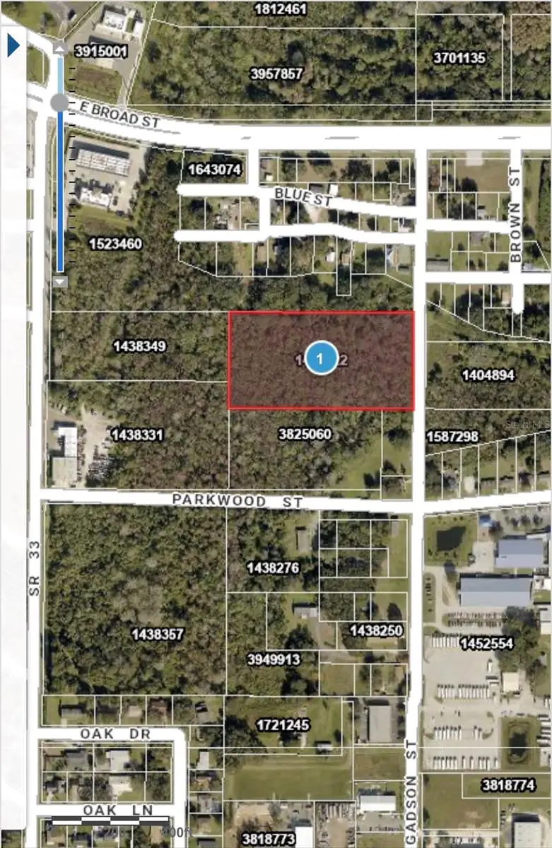 Gadson Street, Groveland, FL 34736 - #2