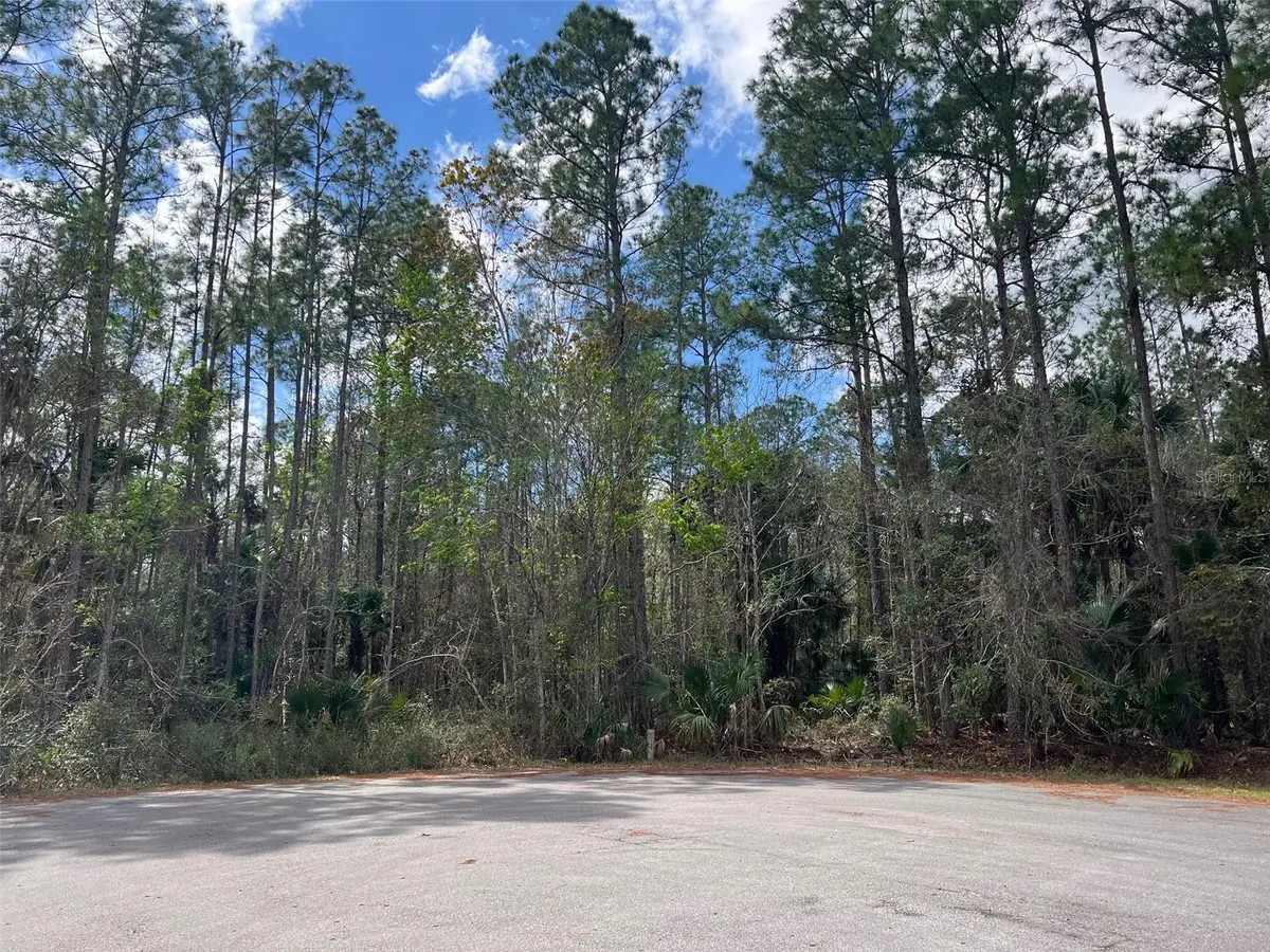 Tomahawk Trail, Deland, FL 32720 - #1